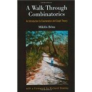 Book cover for A Walk Through Combinatorics
