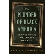 Book cover for The Plunder of Black America