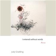 Book cover for I entered without words