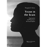 Book cover for Vision in the Brain