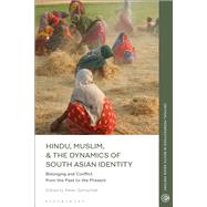 Book cover for Hindu, Muslim, & the Dynamics of Identity in South Asia
