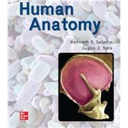 Book cover for Human Anatomy (2024 Evergreen Release)