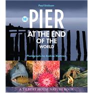 Book cover for The Pier at the End of the World