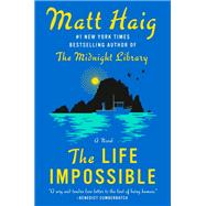 Book cover for The Life Impossible A Novel