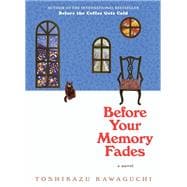 Book cover for Before Your Memory Fades