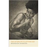 Book cover for The Afterlife is Letting Go