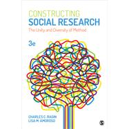 Book cover for Constructing Social Research