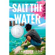 Book cover for Salt the Water