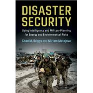 Book cover for Disaster Security