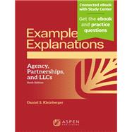 Book cover for Examples & Explanations for Agency Partnerships and LLCs