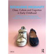 Book cover for Socializing Inequality