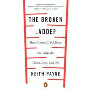 Book cover for The Broken Ladder